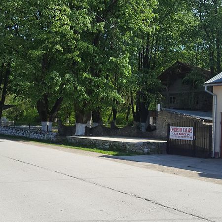 Casa Borcean Villa Sasca Montană Eksteriør bilde