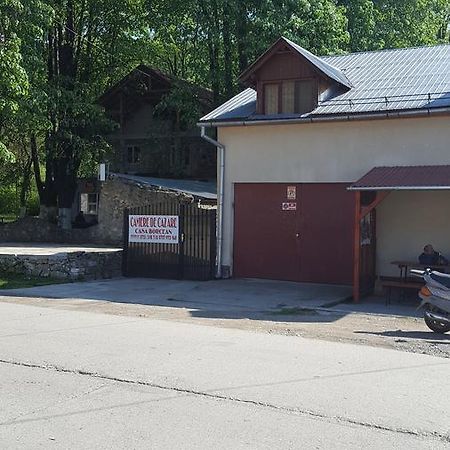 Casa Borcean Villa Sasca Montană Eksteriør bilde