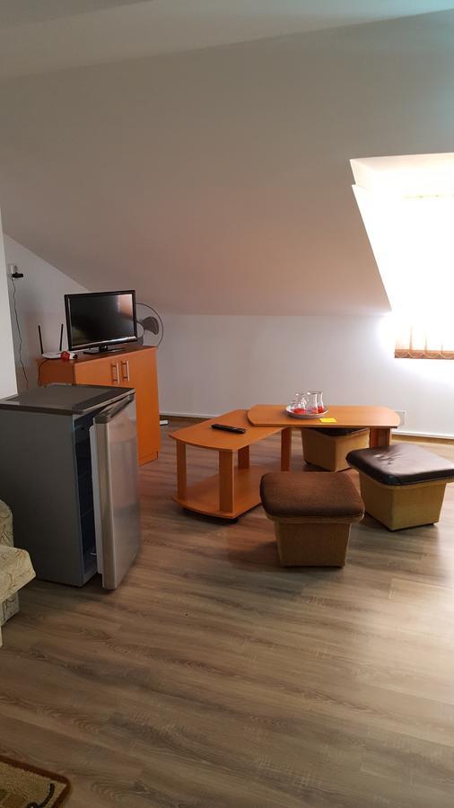 Casa Borcean Villa Sasca Montană Eksteriør bilde