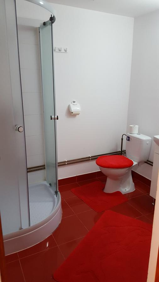 Casa Borcean Villa Sasca Montană Eksteriør bilde