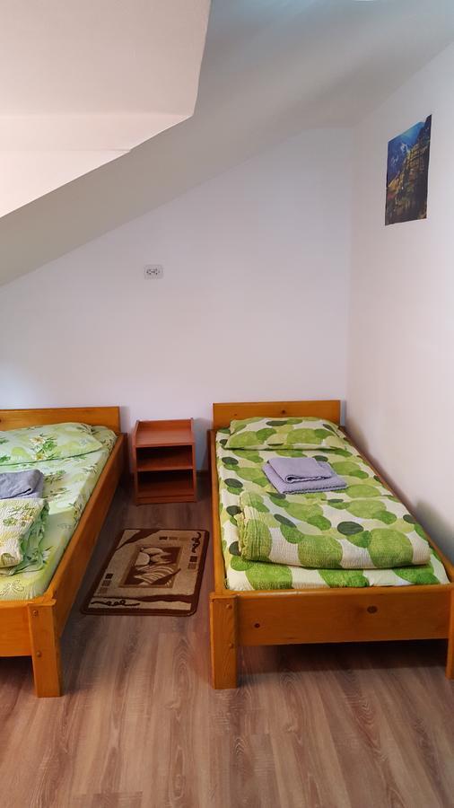 Casa Borcean Villa Sasca Montană Eksteriør bilde