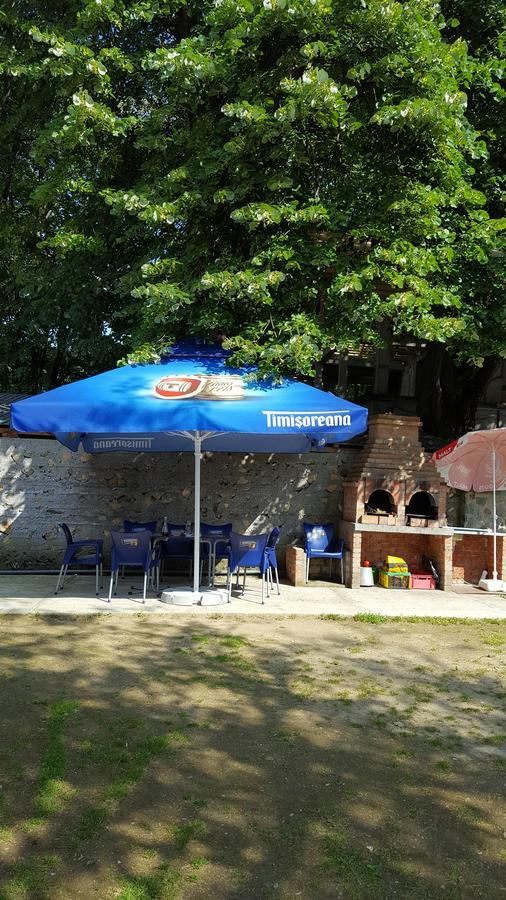 Casa Borcean Villa Sasca Montană Eksteriør bilde