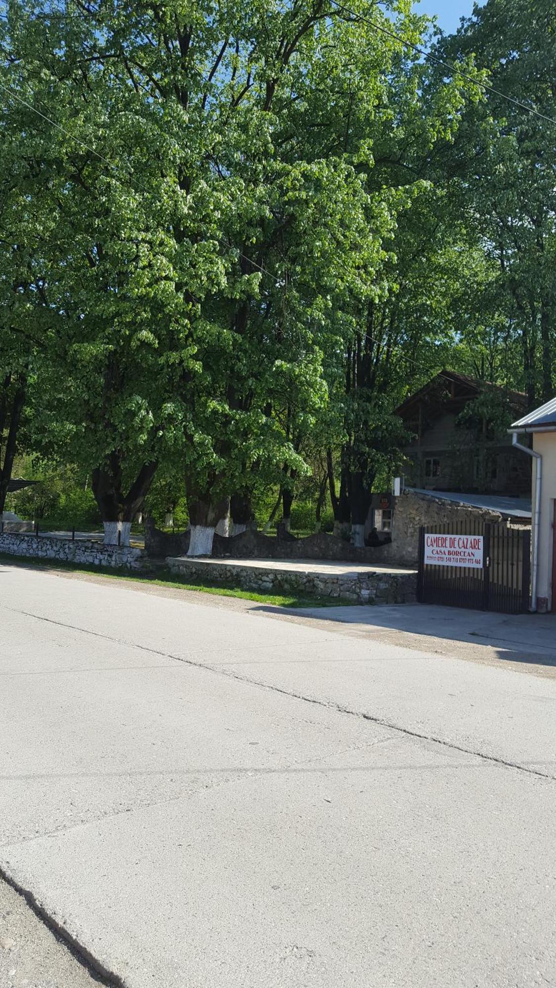 Casa Borcean Villa Sasca Montană Eksteriør bilde
